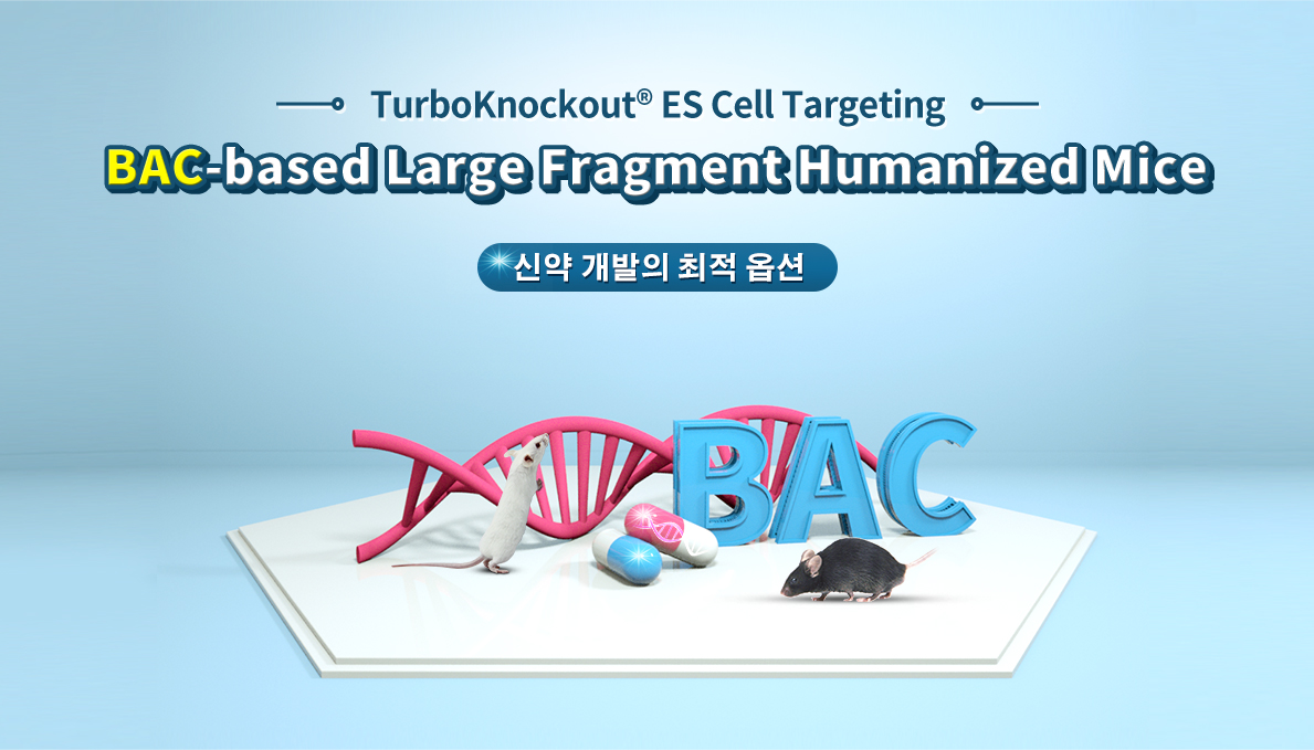 BAC-based Large Fragment Humanized Mice | Cyagen Korea